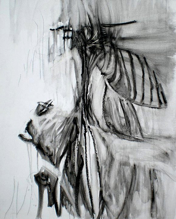 un pájaro en la mitad de un toro, óleo y grafito sobre tela, 63 x 52 cm